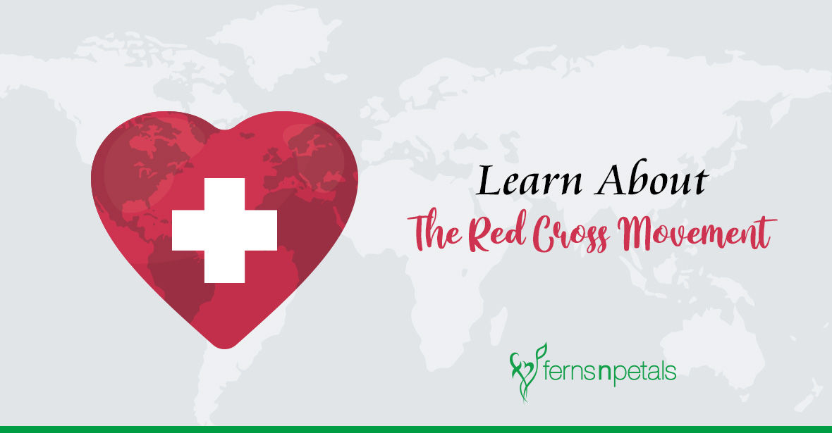World Red Cross Day: Learn About The Red Cross Movement